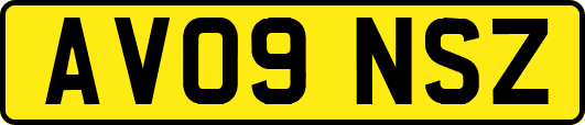 AV09NSZ