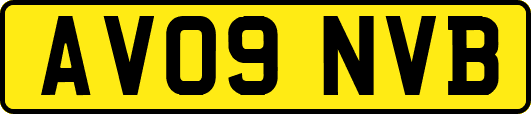 AV09NVB
