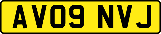 AV09NVJ