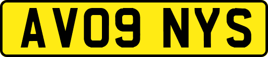 AV09NYS