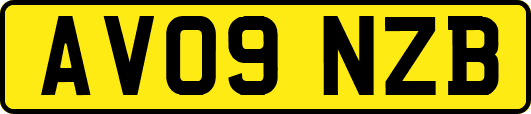 AV09NZB