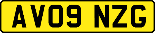AV09NZG