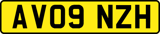 AV09NZH
