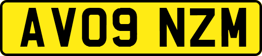 AV09NZM