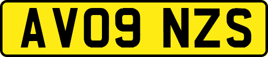 AV09NZS
