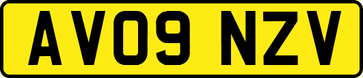 AV09NZV