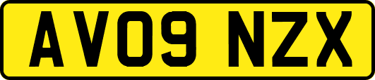 AV09NZX