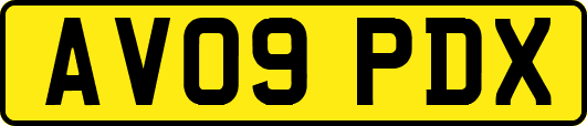 AV09PDX