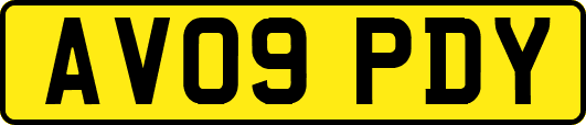 AV09PDY