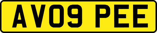 AV09PEE