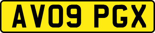 AV09PGX