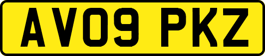 AV09PKZ