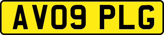 AV09PLG