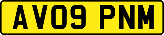 AV09PNM
