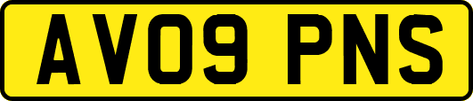 AV09PNS