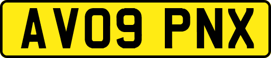 AV09PNX