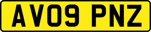 AV09PNZ