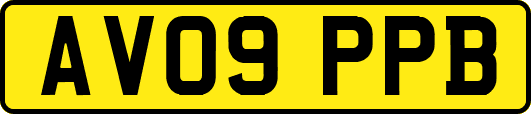 AV09PPB