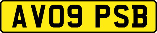 AV09PSB