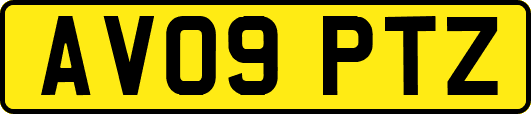 AV09PTZ