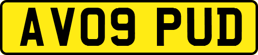AV09PUD