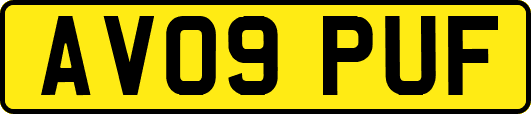 AV09PUF