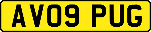 AV09PUG