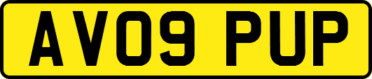 AV09PUP