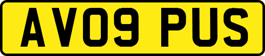 AV09PUS
