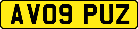 AV09PUZ