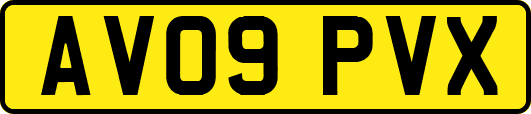 AV09PVX