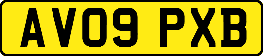 AV09PXB
