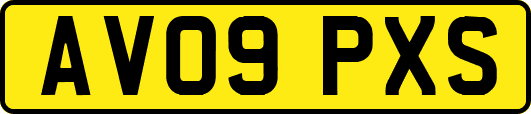 AV09PXS