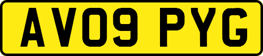 AV09PYG