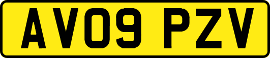 AV09PZV