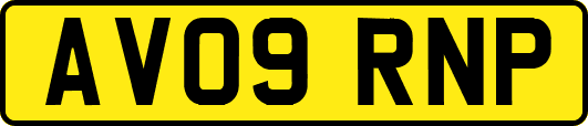 AV09RNP