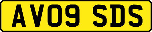 AV09SDS