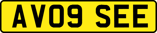 AV09SEE
