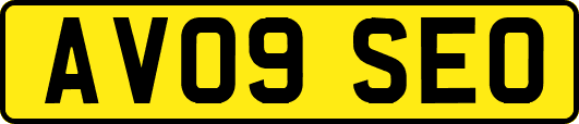 AV09SEO