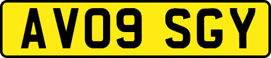 AV09SGY