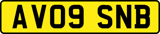 AV09SNB