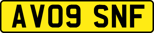 AV09SNF