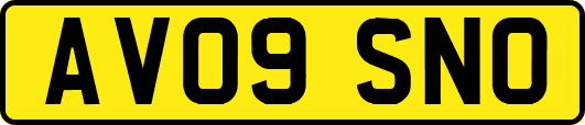 AV09SNO