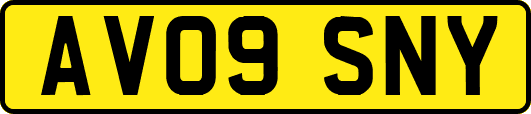 AV09SNY