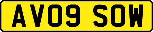 AV09SOW