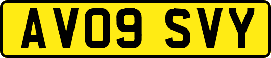 AV09SVY