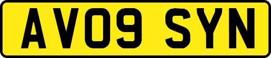 AV09SYN
