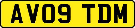 AV09TDM
