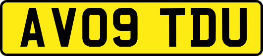 AV09TDU