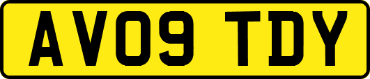 AV09TDY